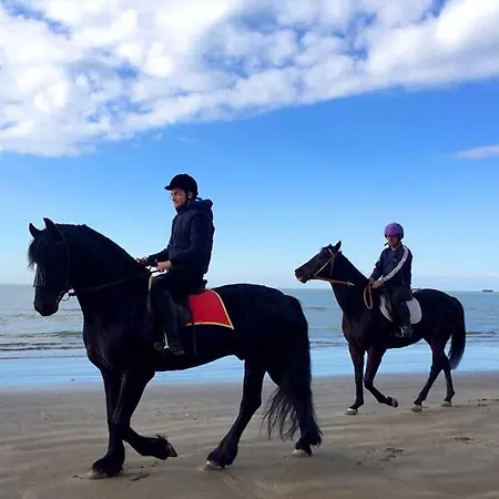 Flower Roof Private Terrace