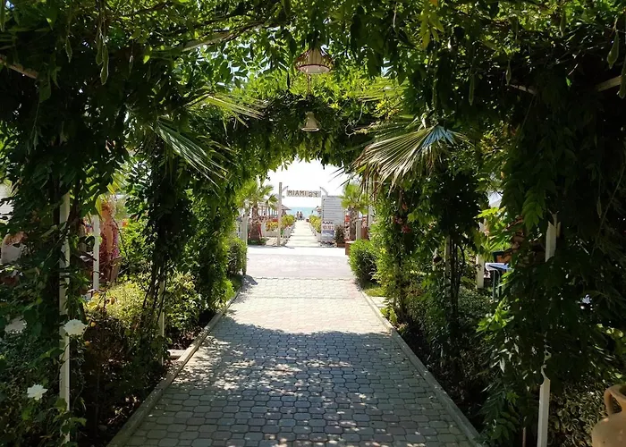 Apartment Flower Roof Private Terrace